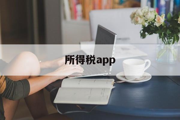 所得税app(个人所得税app正版官方下载)